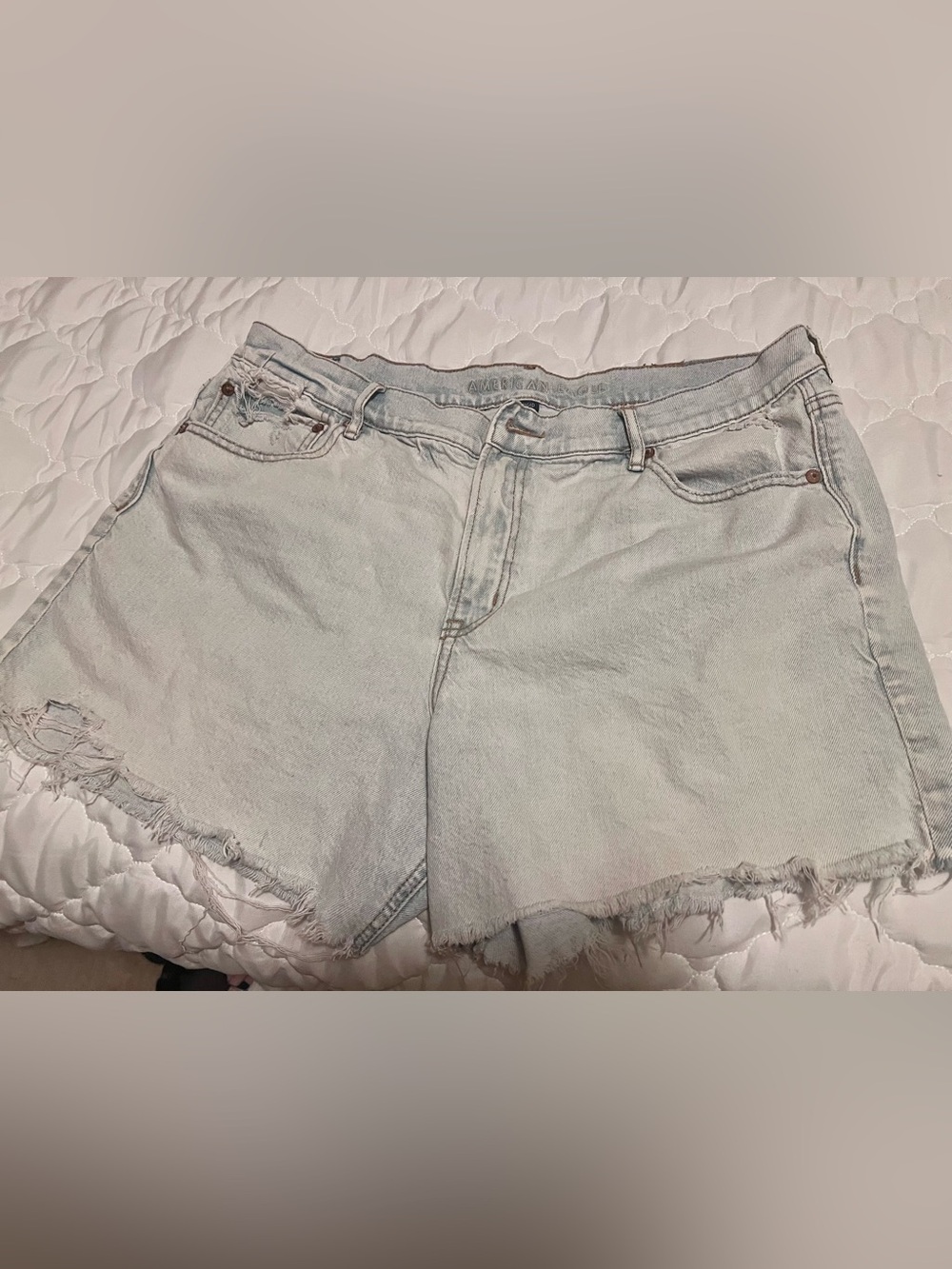 American Eagle Outfitters Light Blue Distressed Denim Shorts